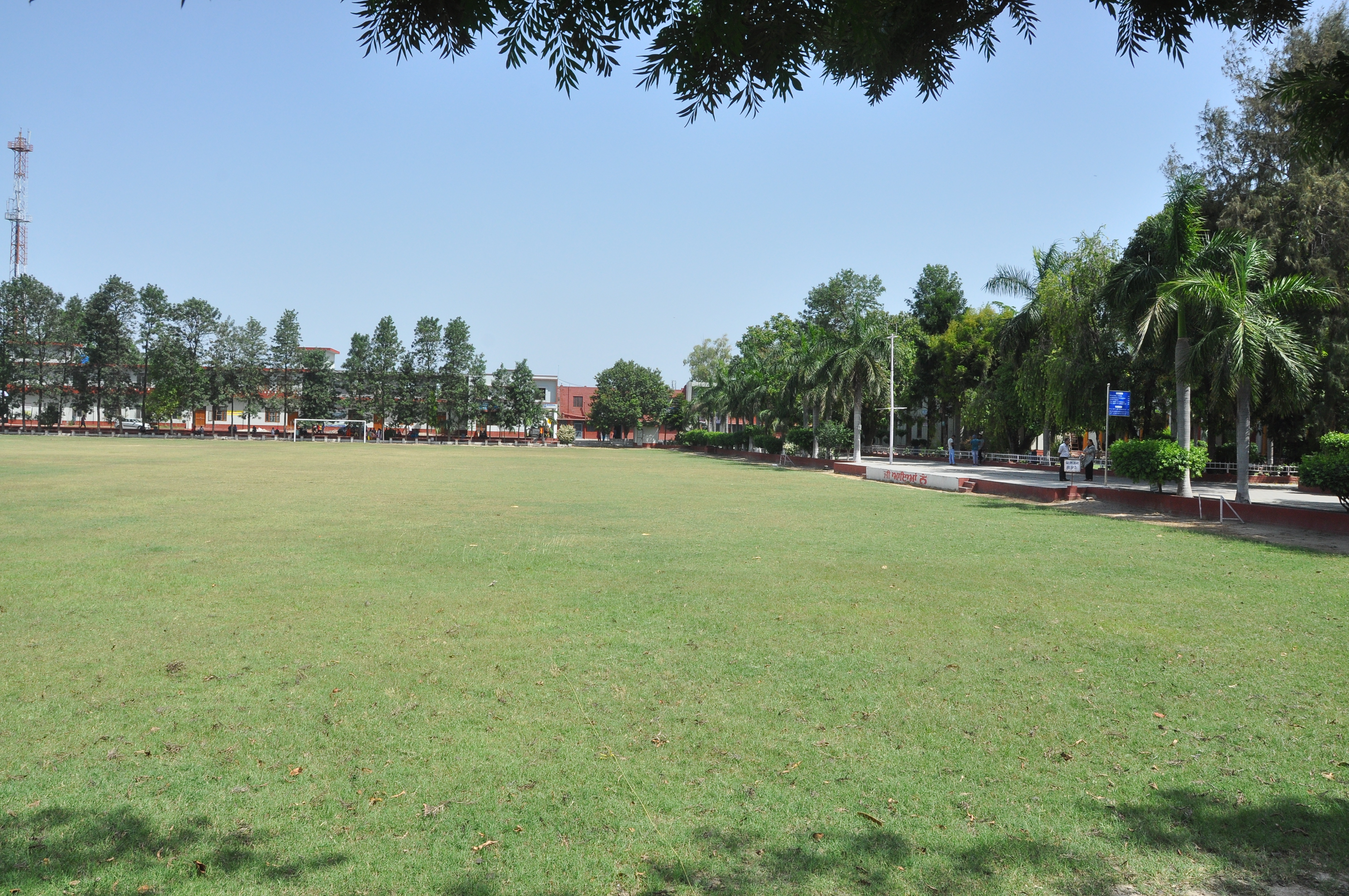 Campus Life