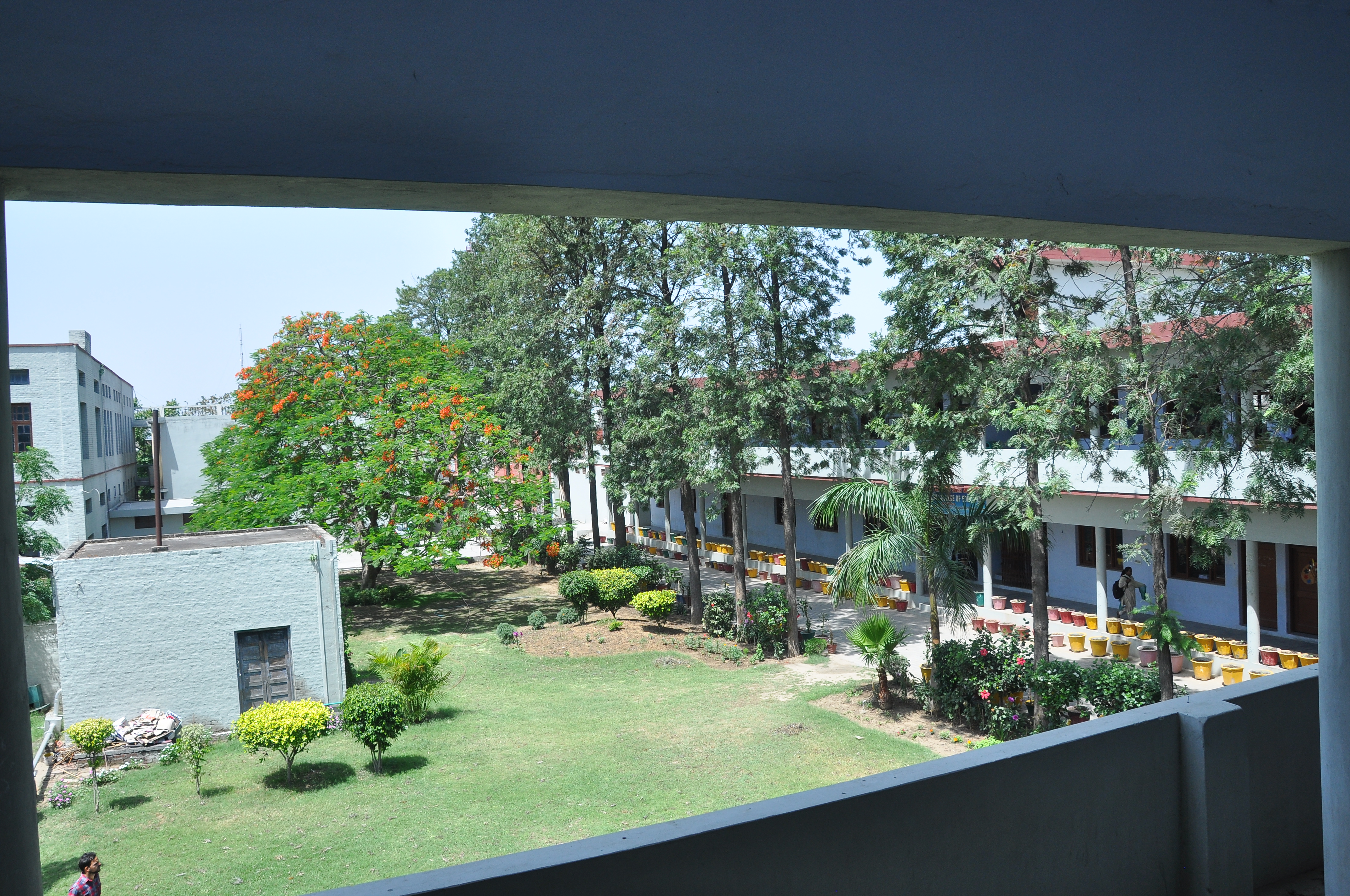 Landscape Design Project