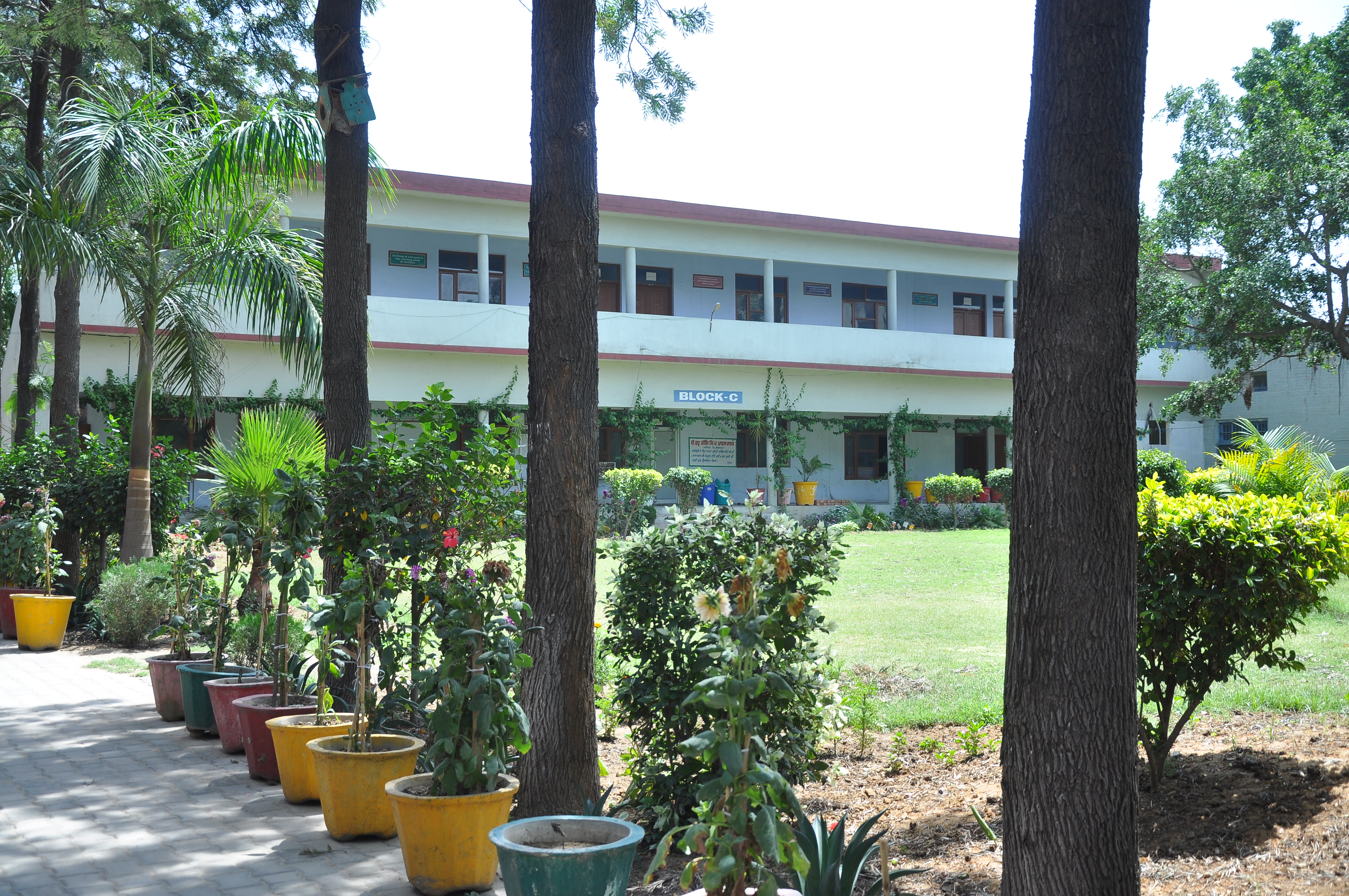 Campus Life