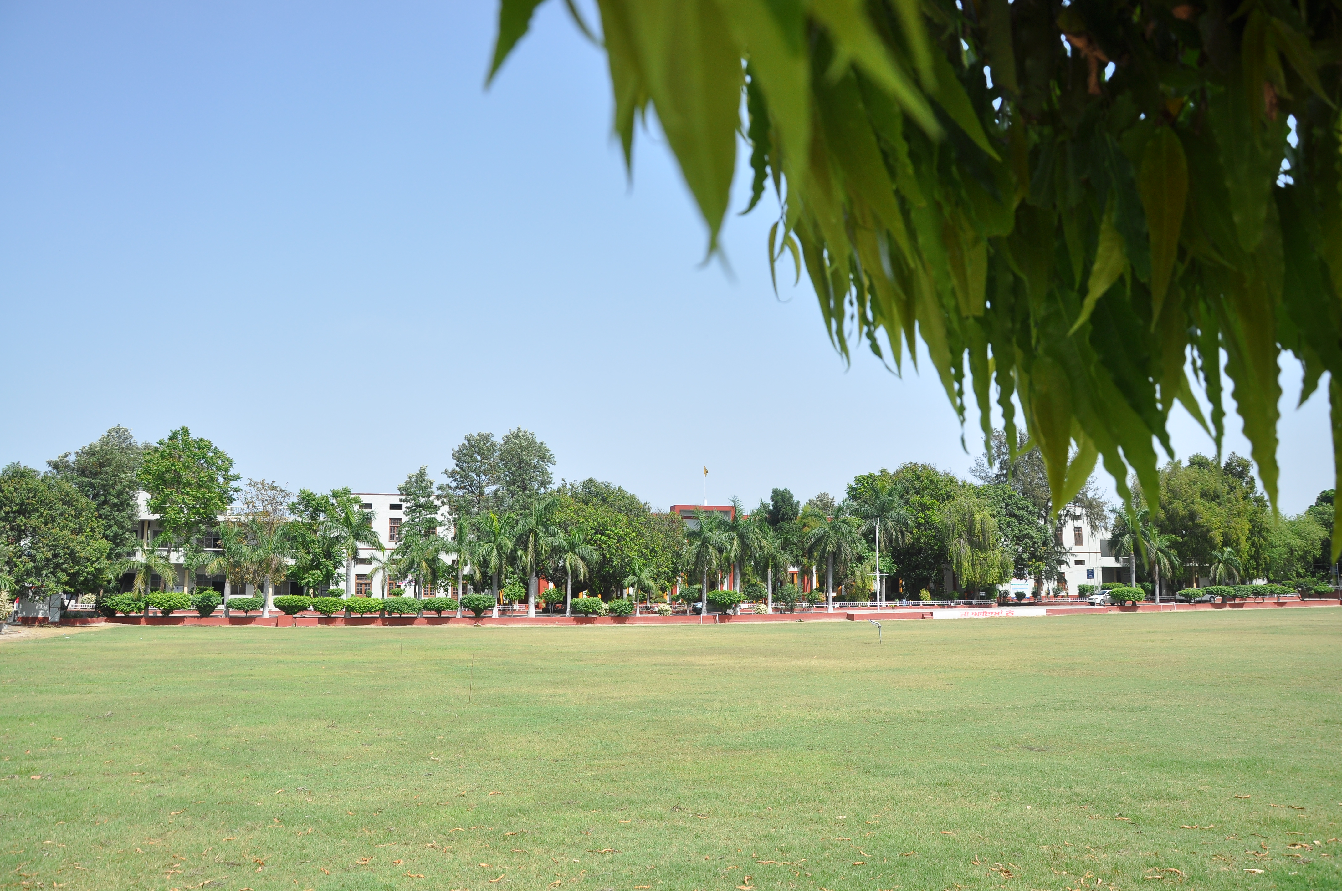 Campus Life