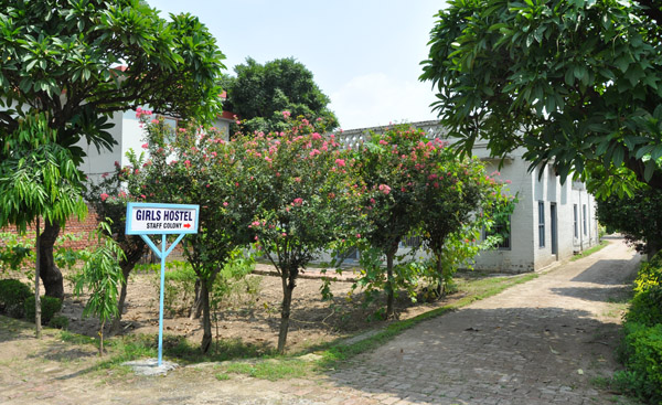 Teachers Flats